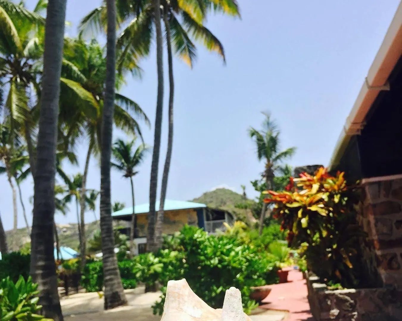 Anchorage Yacht Club Hotel Clifton Saint Vincent and the Grenadines