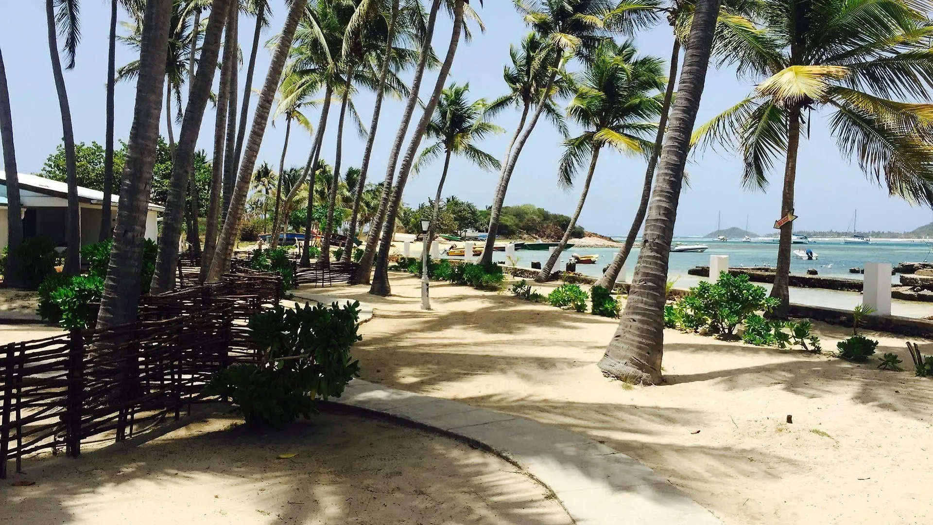 Anchorage Yacht Club Hotel Clifton 3*,  Saint Vincent and the Grenadines